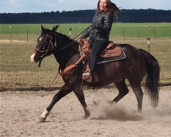 Pferd Smart Anys Iltschi (Quarter Horse, 2011, von Smart Little Fury)