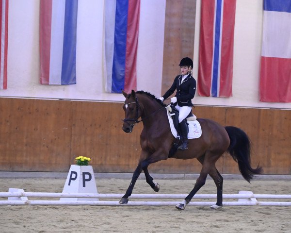 dressage horse Alegra ZGE (Austrian Warmblood, 2017, from Tolegro)