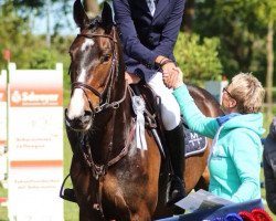 jumper Grafin Fortuna (Hanoverian, 2012, from Graf Top)