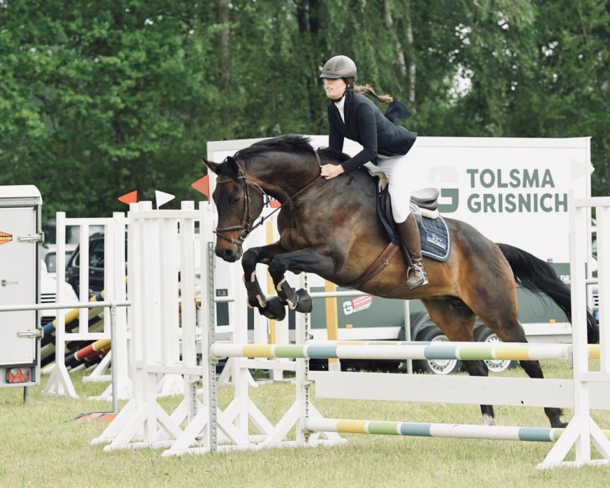 broodmare Zarifeh (Holsteiner, 2007, from Carlos DZ)