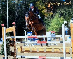 jumper Stanley's Rudi (Hanoverian, 2012, from Stanley)