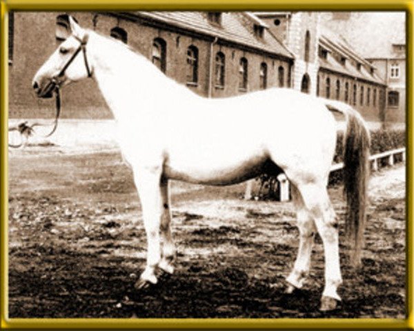 stallion Landrat (Hanoverian, 1966, from Lasso)
