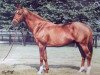 stallion Diesis xx (Thoroughbred, 1980, from Sharpen Up xx)