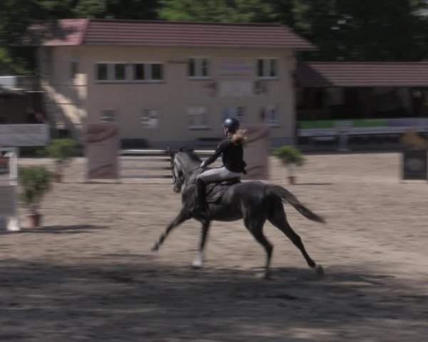 Reitturnier Lgl.-Oberhain, B95 2022