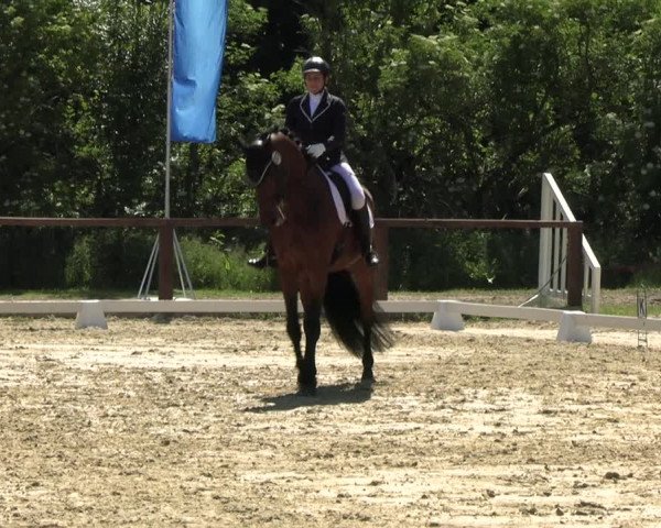 Reitturnier Everswinkel 2022