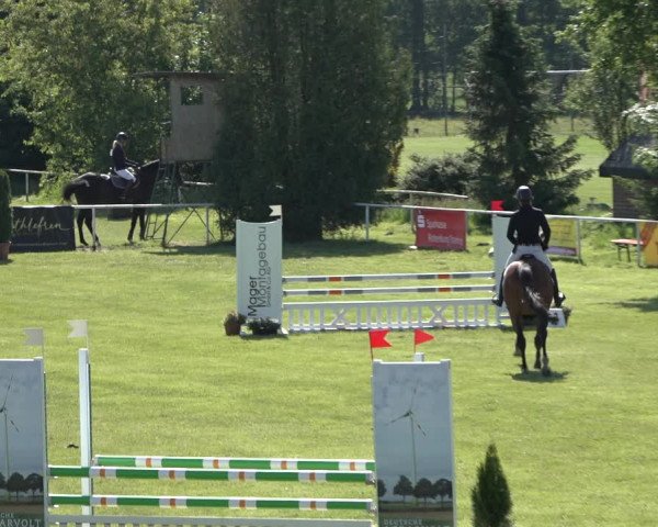 Reitturnier Pennigbüttel 2022