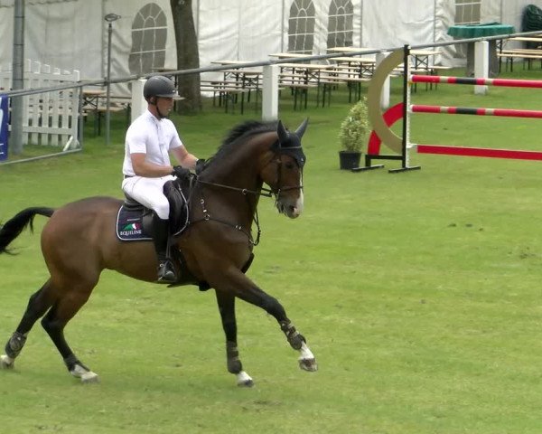 Reitturnier Forst 2022