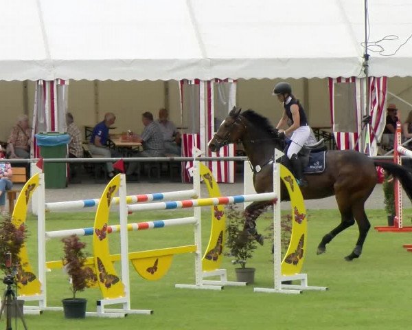 Reitturnier Forst 2022
