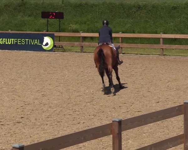 Springturnier Niebüll 2022