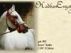 stallion Hadban Enzahi 1952 EAO (Arabian thoroughbred, 1952, from Nazeer 1934 RAS)