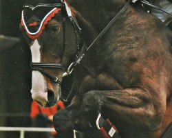 dressage horse Prinzess de Lyx (Hanoverian, 2005, from Paradiesvogel)