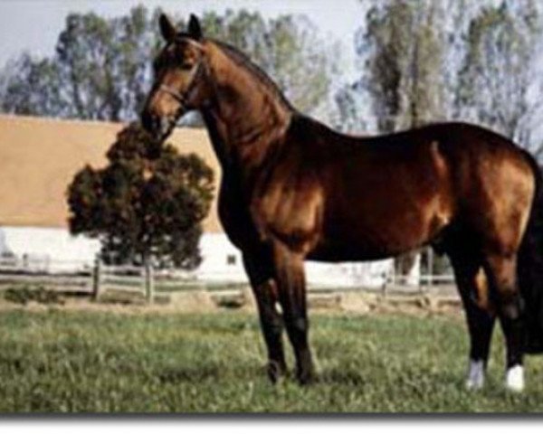horse Piaster (Bavarian, 1982, from Pik Bube I)