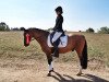 dressage horse Dooley's 2 (German Riding Pony, 2003, from Dornik B)