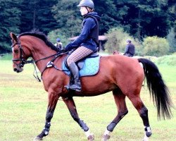 broodmare Macarena (Westphalian, 1994, from Maraschino)