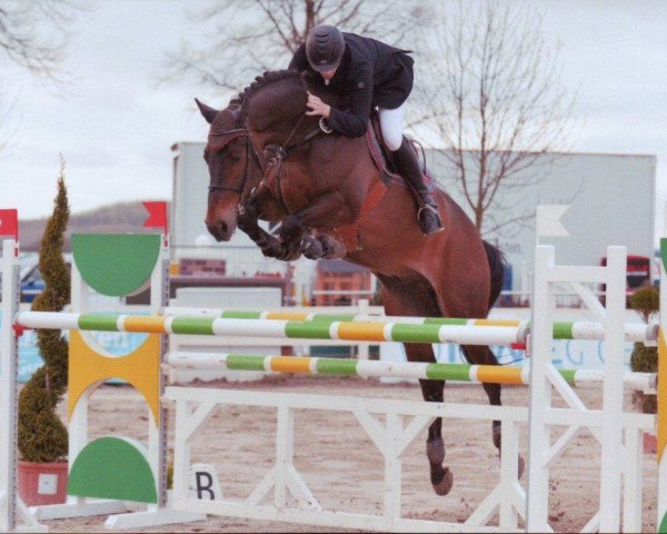 jumper Casarion S (Hanoverian, 2005, from Chico's Boy)