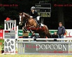 broodmare Rolanda H (German Riding Pony, 2000, from Benetton S)