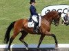 dressage horse Versace (KWPN (Royal Dutch Sporthorse), 2002, from Flemmingh)