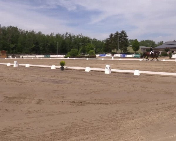 Reitturnier Frechen-Grefrath - Sonnenhof 2022