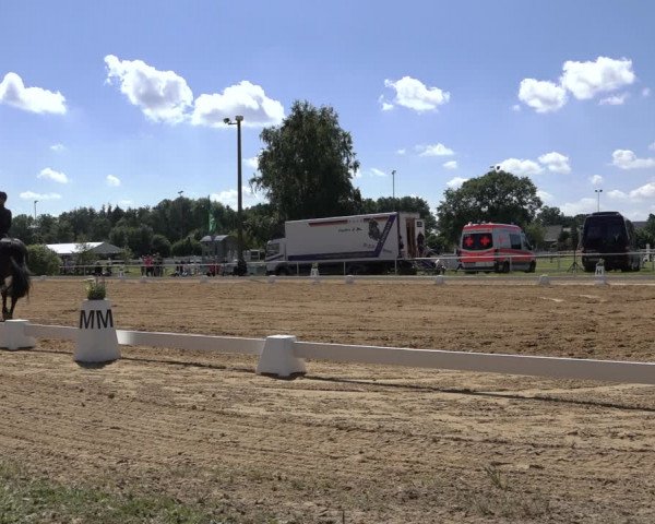 Reitturnier Pennigbüttel 2022