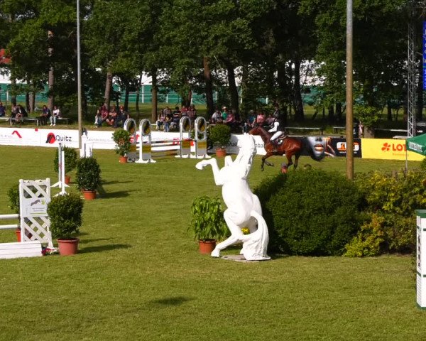 Reitturnier Cottbus-Sielow 2022