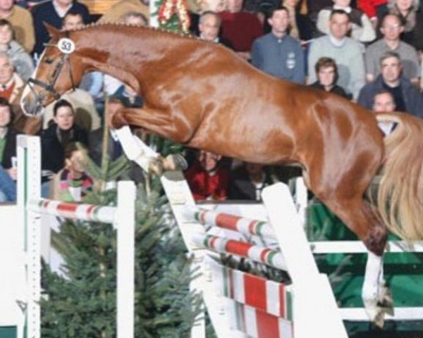 stallion For Complete (Rhinelander, 2005, from For Pleasure)