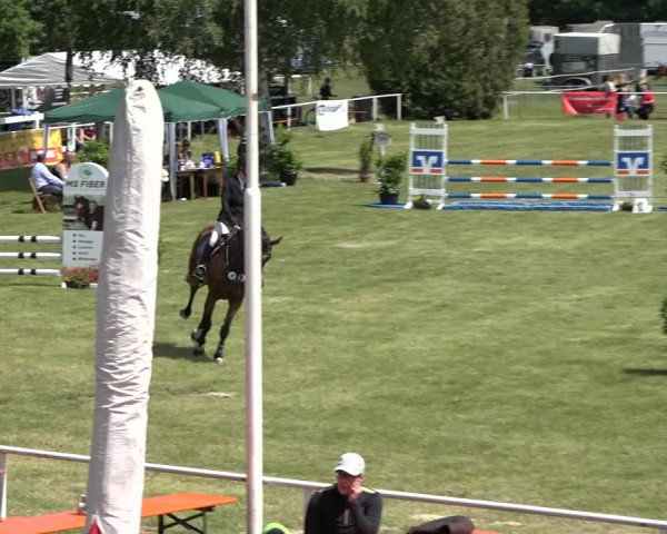 Reitturnier Pennigbüttel 2022