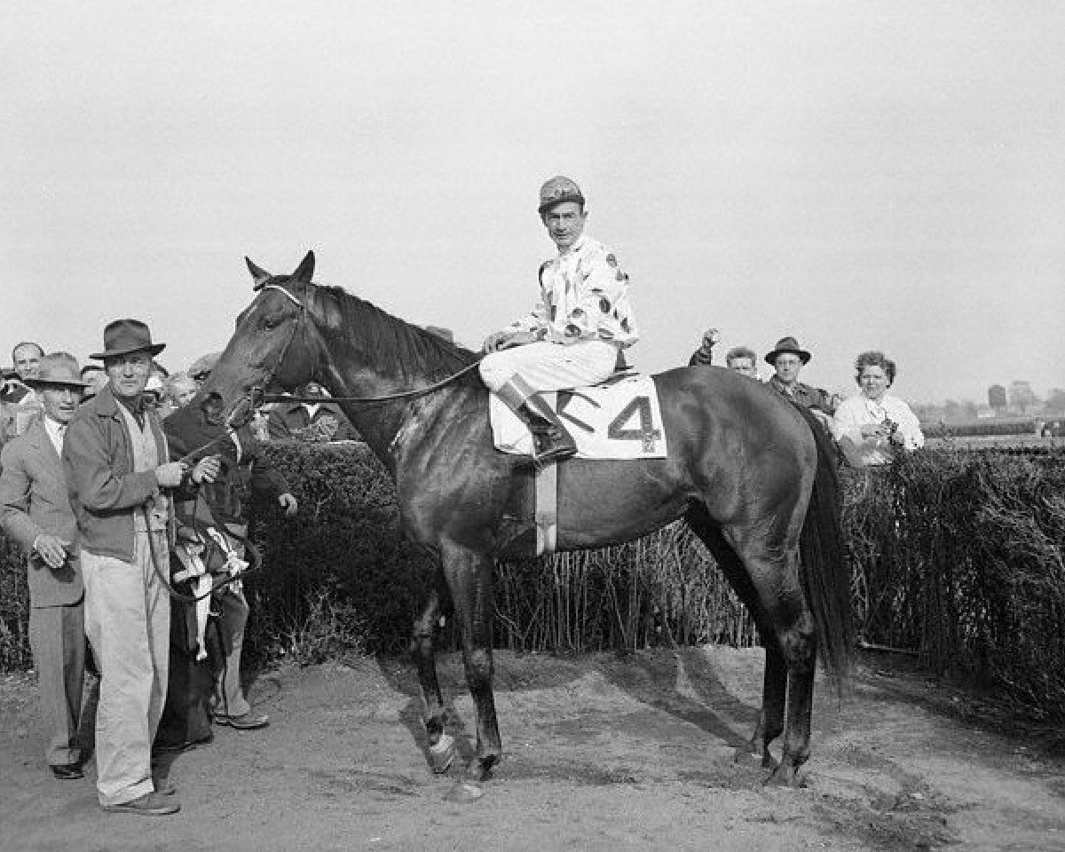 stallion Nashua xx (Thoroughbred, 1952, from Nasrullah xx)