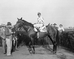 stallion Nashua xx (Thoroughbred, 1952, from Nasrullah xx)