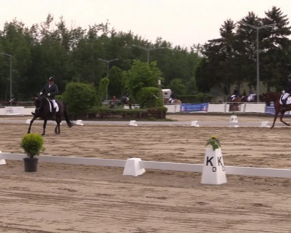Reitturnier Frechen-Grefrath - Sonnenhof 2022