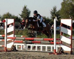 dressage horse Nantino (German Riding Pony, 2000, from Nevado)