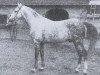 Deckhengst Anvil 1895 ox (Vollblutaraber, 1895, von Padischah 1884 DB)