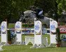 jumper Cellestino H (Oldenburg show jumper, 2015, from Cellestial)