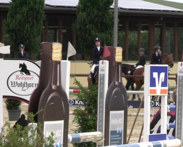 Reitturnier Everswinkel 2022