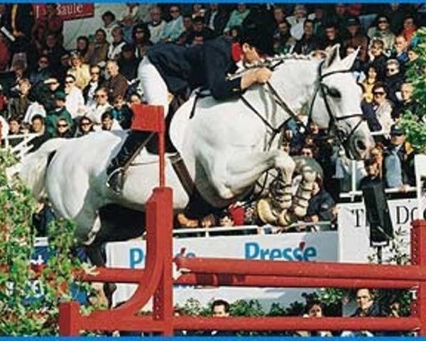 Pferd Adelfos (Holsteiner, 1983, von Athlet Z)