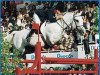 Pferd Adelfos (Holsteiner, 1983, von Athlet Z)