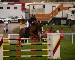 stallion Dollar de la Lande HN (Selle Français, 1991, from Quito de Baussy)