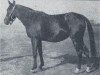 broodmare Zulejma 1914 ox (Arabian thoroughbred, 1914, from Kohejlan 1904 DB)
