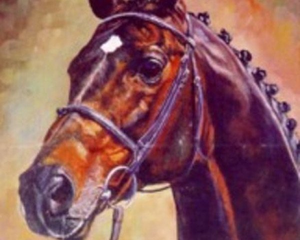stallion Debüt (Brandenburg, 1980, from Direx)