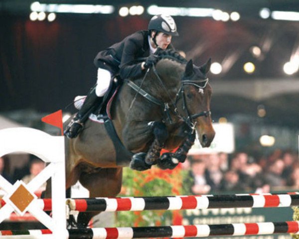 stallion Hbc Regilio (Dutch Warmblood, 1998, from Heartbreaker)