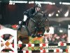 stallion Hbc Regilio (KWPN (Royal Dutch Sporthorse), 1998, from Heartbreaker)