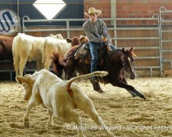 Deckhengst Searching for Time (Quarter Horse, 2008, von A Chic in Time)