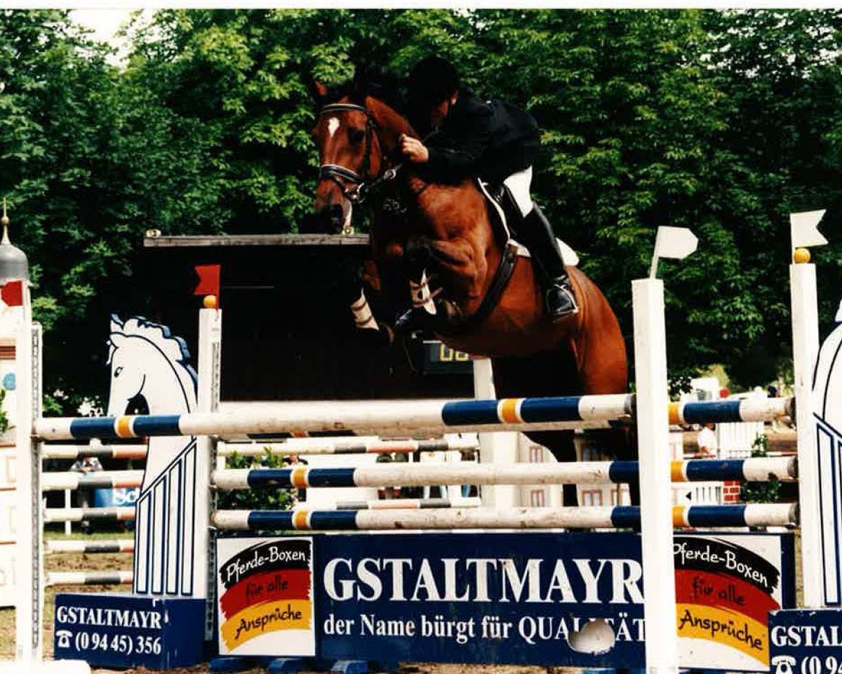 broodmare Francesca (Bavarian, 1991, from Fernando I)