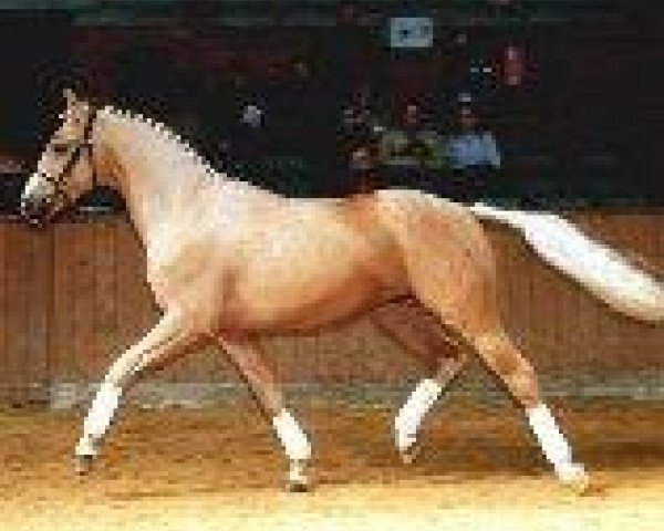 stallion Inspiration GF (Oldenburg, 2000, from Inspirant)