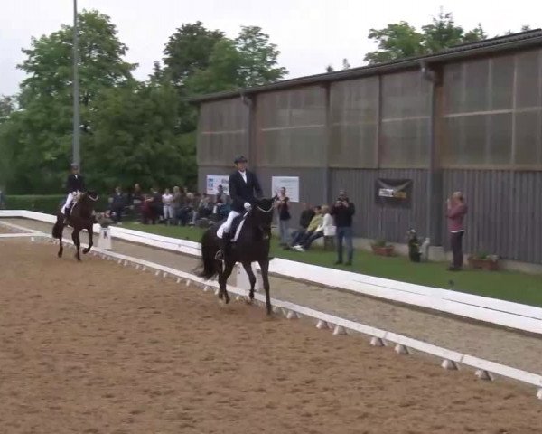 Reitturnier Neustadt/Aisch/Mfr. 2022