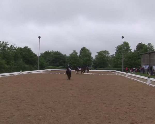 Reitturnier Neustadt/Aisch/Mfr. 2022