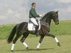 stallion Lord Leatherdale (Rhinelander, 2003, from Lord Loxley I)