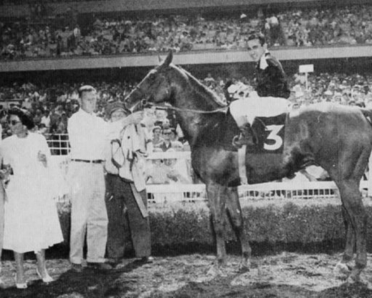 stallion Lucky Bar xx (Thoroughbred, 1954, from Three Bars xx)