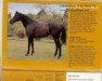stallion African Sky xx (Thoroughbred, 1970, from Sing Sing xx)