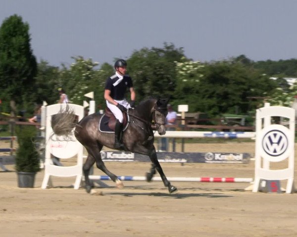 Reitturnier Everswinkel 2022
