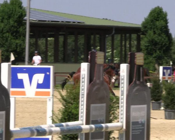 Reitturnier Everswinkel 2022